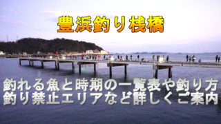 愛知県のナマズ釣りポイント紹介 愛知県はナマズと雷魚の聖地です でら釣りブログ