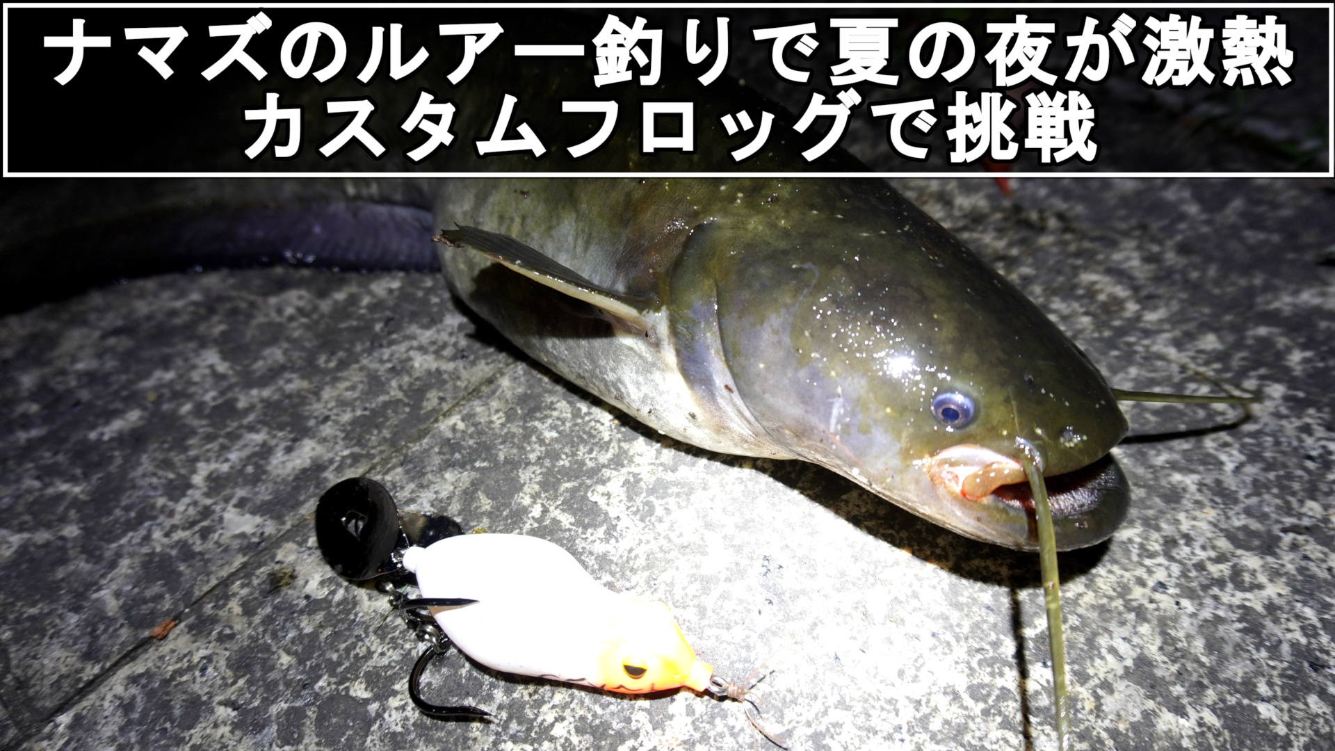 ナマズのルアー釣りで夏の夜