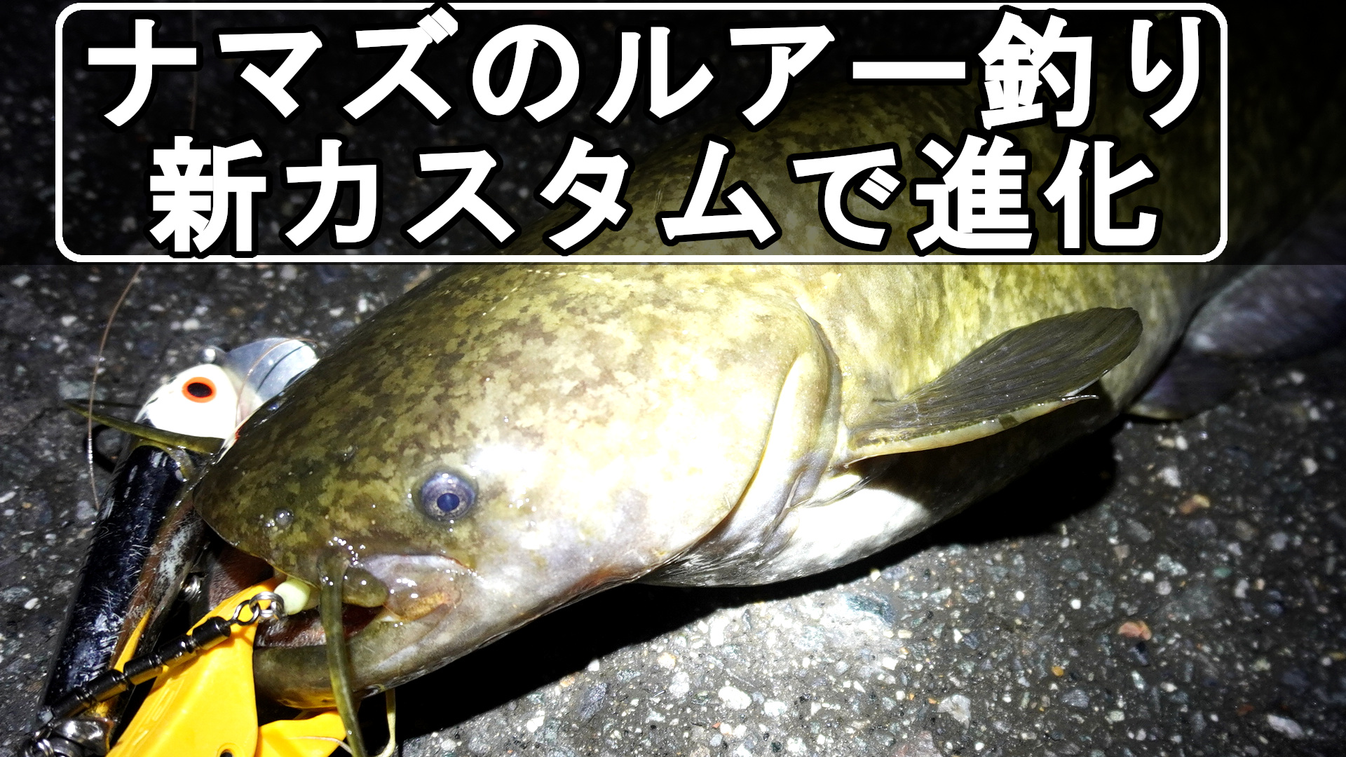 ナマズのルアー釣りで新しいカスタム