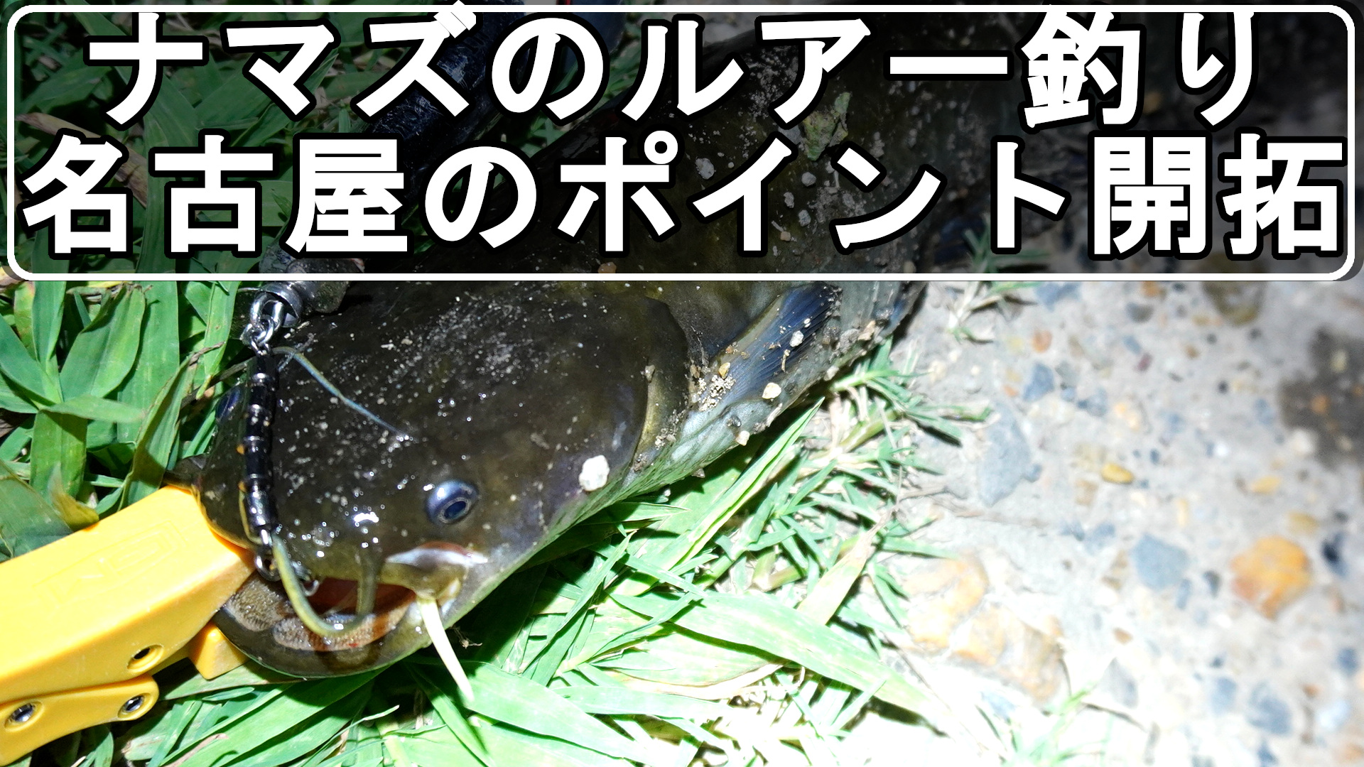 ナマズのルアー釣りで新しいポイント開拓