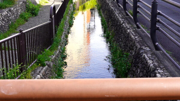 荒子川