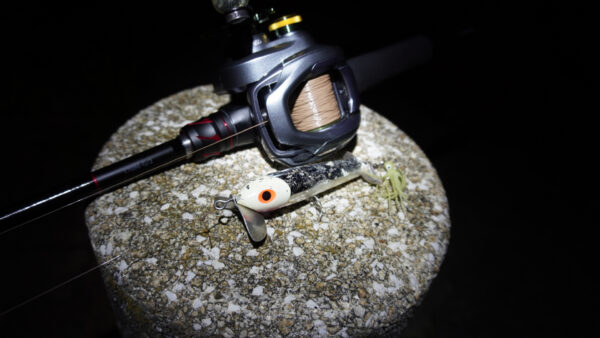 ナマズ釣りのタックル