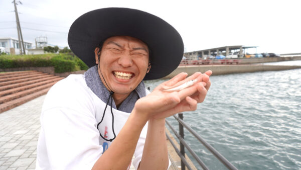 シロギスを釣った